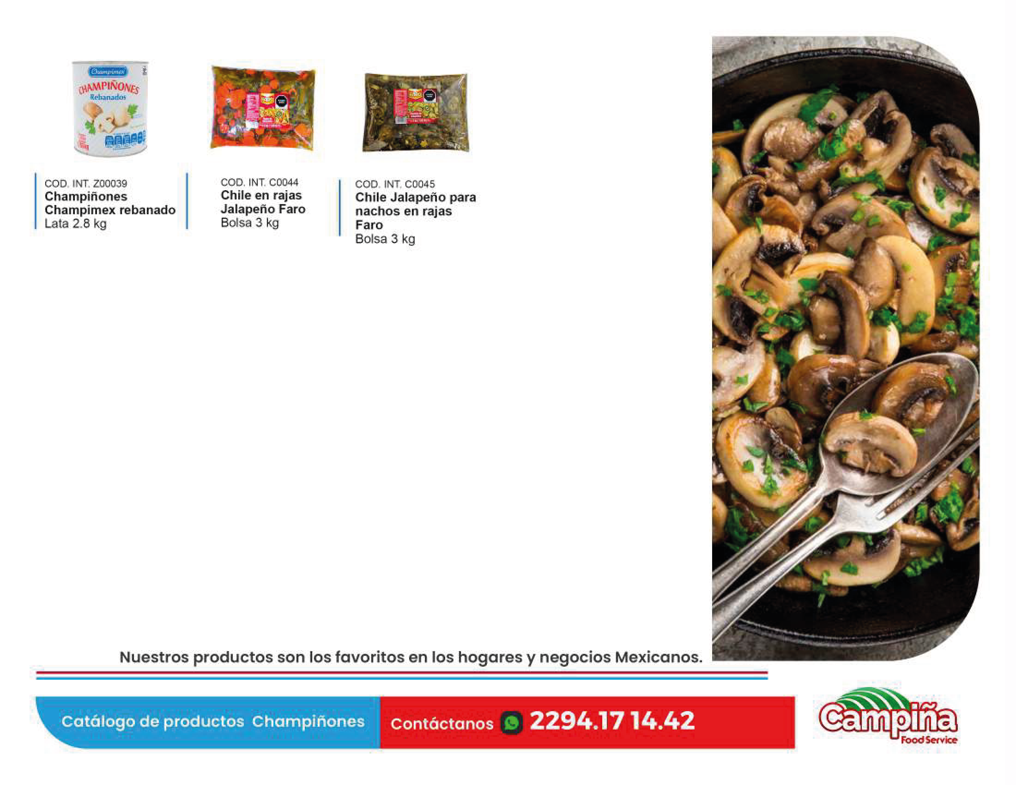 PRODUCTO-24